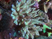 IMG_7539.jpeg