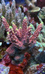IMG_7538.jpeg
