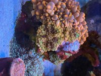 IMG_7537.jpeg