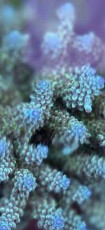 IMG_7515.jpeg