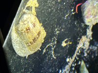 IMG_7199.jpeg
