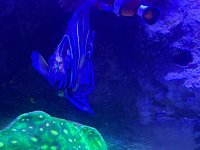 IMG_9912.jpeg