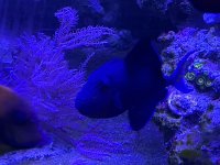 IMG_9908.jpeg