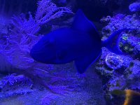 IMG_9909.jpeg