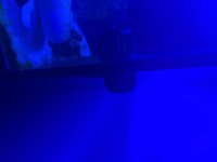 IMG_5497.jpeg