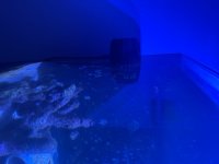 IMG_5498.jpeg