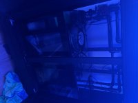 IMG_5495.jpeg