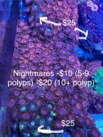 IMG_9866.jpeg