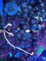 IMG_9865.jpeg