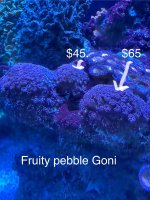 IMG_9863.jpeg