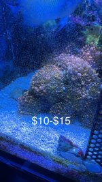 IMG_9857.jpeg