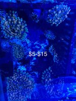 IMG_9869.jpeg