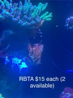 IMG_9877.jpeg
