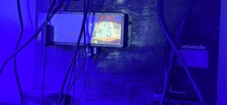 IMG_0441.jpeg
