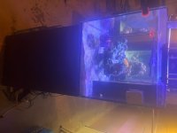 IMG_0636.jpeg
