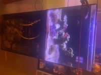IMG_0635.jpeg
