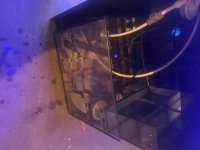 IMG_0634.jpeg
