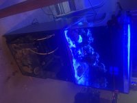IMG_0633.jpeg