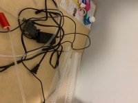 IMG_5582.jpeg