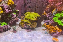 IMG_6538.jpg