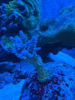 IMG_3017.jpeg