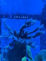 IMG_3018.jpeg