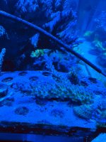 IMG_3020.jpeg
