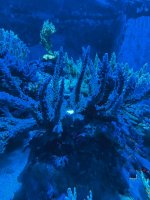 IMG_3019.jpeg