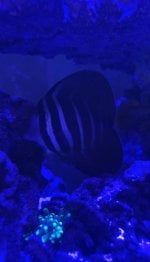 IMG_3281.jpeg