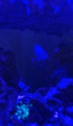 IMG_3280.jpeg