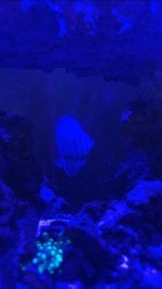 IMG_3283.jpeg