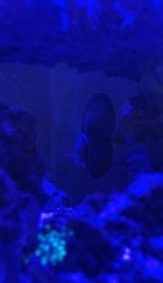 IMG_3282.jpeg