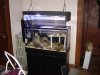 DSC01451.JPG