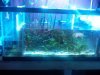 Refugium Sump 004a.JPG