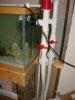 Tank-drains2.jpg