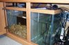 sump done 3.jpg