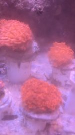 PXL_20251021_233104145.jpg