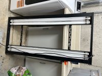 IMG_7270.jpeg
