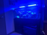 IMG_9715.jpeg
