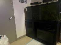IMG_9716.jpeg