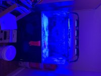IMG_7124.jpeg
