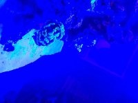 20251103_155805.jpg