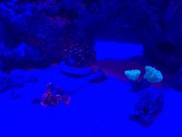 20251103_155748.jpg