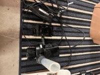 IMG_5906.jpeg