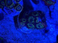 IMG_4819.jpeg