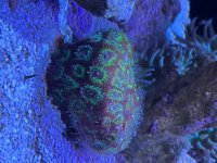 IMG_4771.jpeg