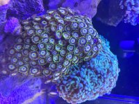 IMG_4570.jpeg
