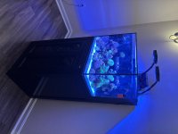 IMG_2256.jpeg