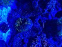 IMG_2257.jpeg