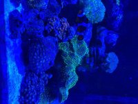 IMG_2259.jpeg